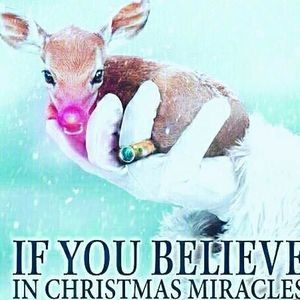 Meet your Posher, Robyn